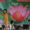 Children playing lotus flower