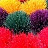 Incense sticks colourful