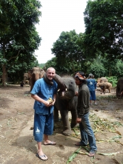 elephant-mahout