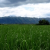 inle-lake-from-maing-thauk
