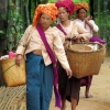 inn-thein-tribe-traders