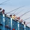 fishermen-on-bridge-istanbul