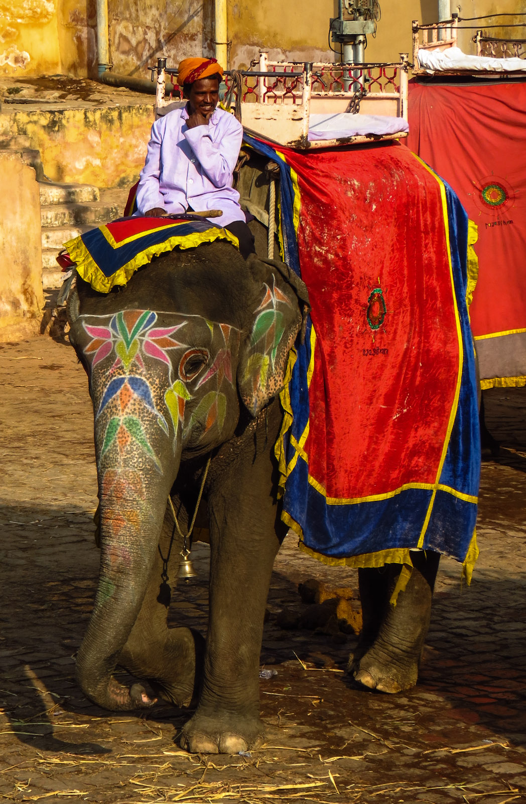 amber-palace-elephant