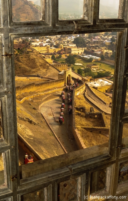 amber-fort-elephant-trail-through-fort-window-jaipur