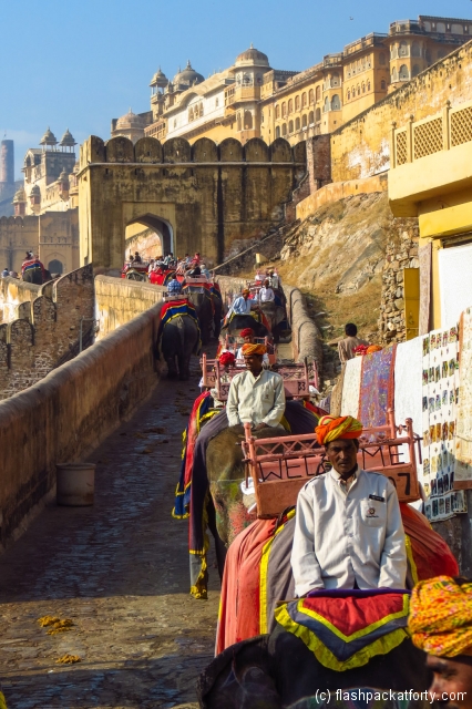 amber-palace-elephant-downhill