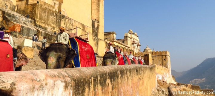 elephant-rides-jaipur-amber-fort