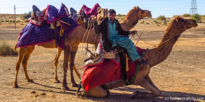 camel-driver-lowers-camels-jaisalmer