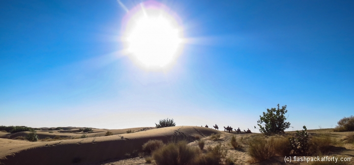 desert-sun-and-camel-train-jaisalmer
