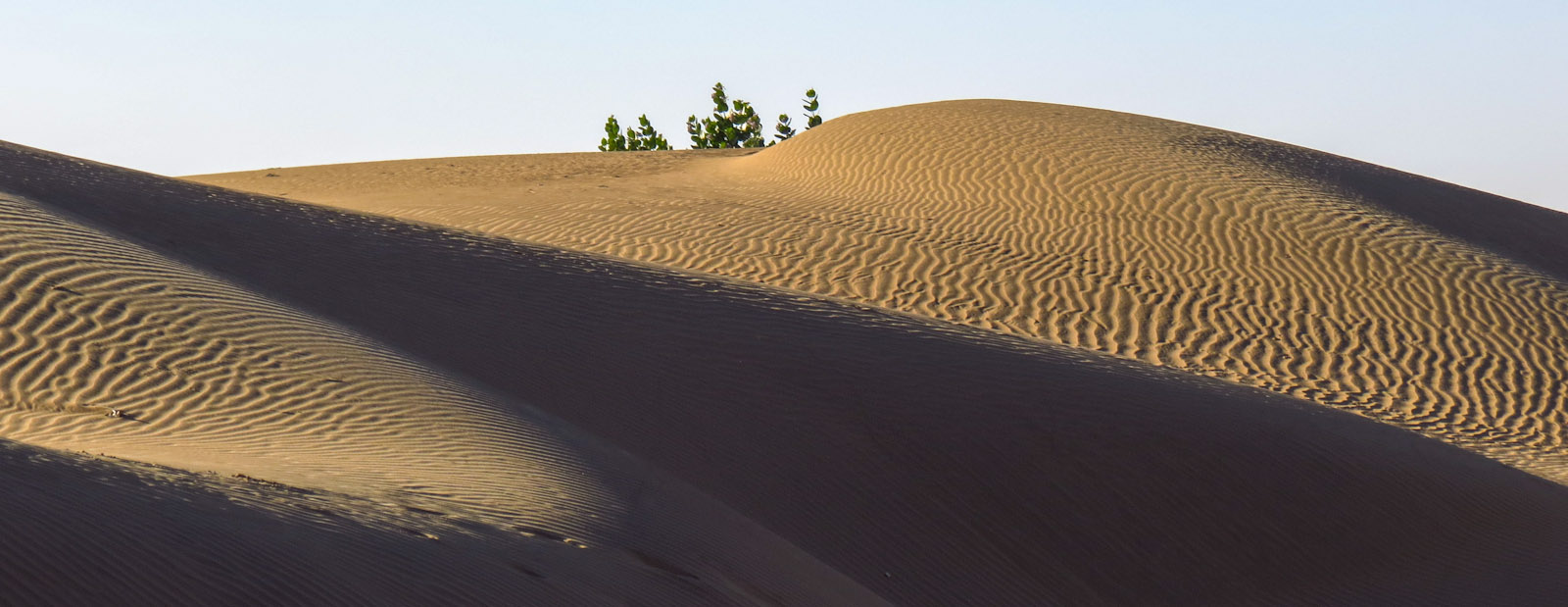 dunes-waves-jaisalmer-desert