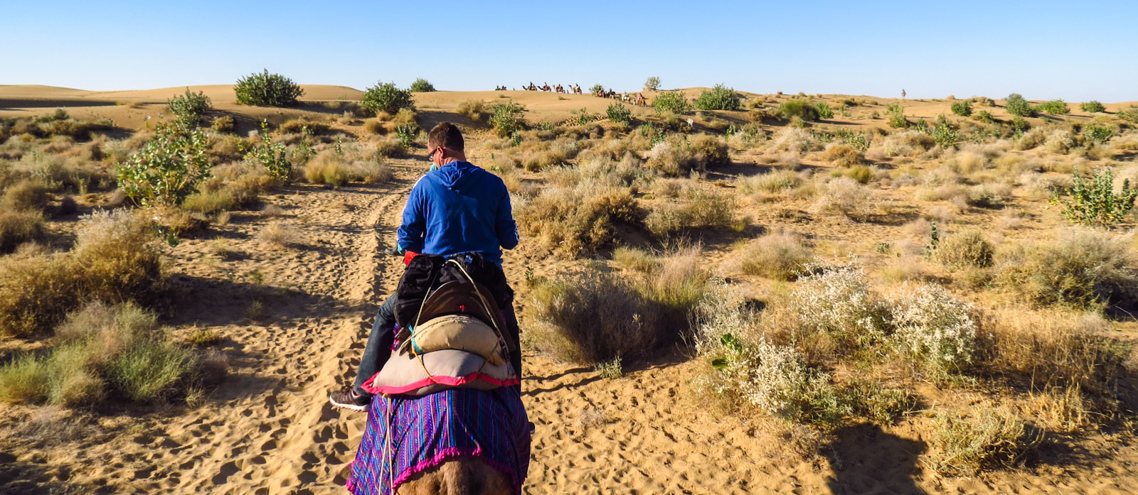 flashpacker-john-on-camel-safari-jaisalmer