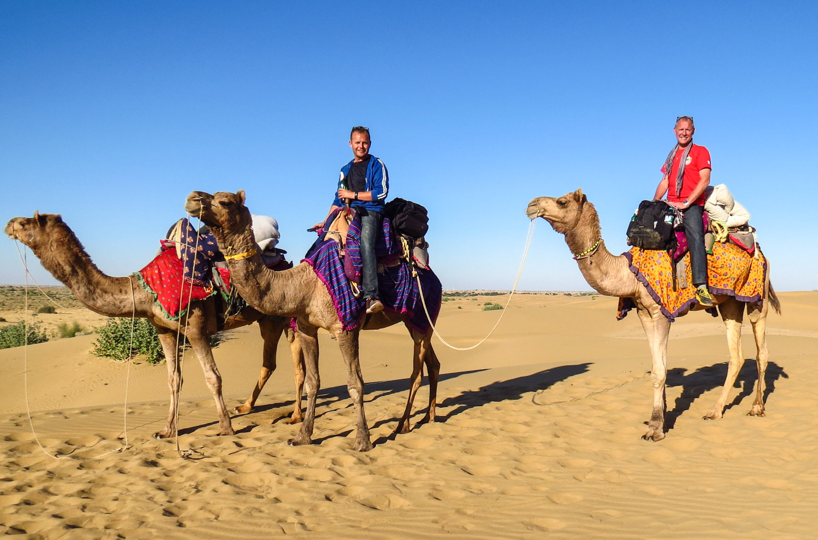 flashpackers-pose-aloft-camels-jaisalmer-desert