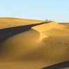 dunes-and-footprints-jaisalmer-deserts