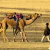 young-camel-driver-leads-camel-jaisalmer