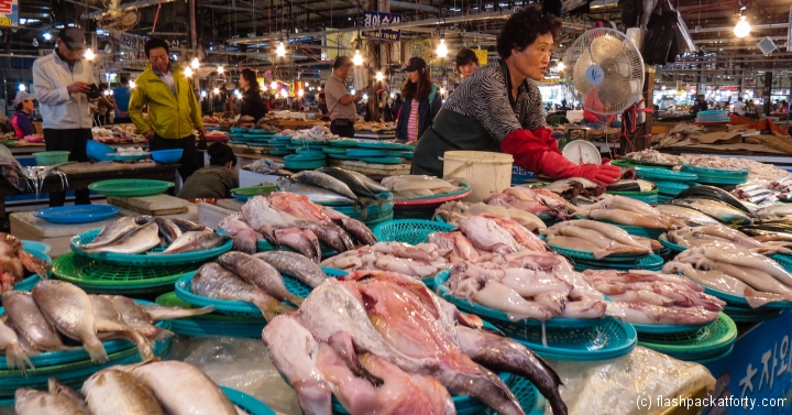 five-day-market-trader-with-fish-jeju