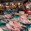 five-day-market-trader-with-fish-jeju