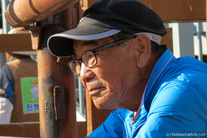 old-man-ponders-bull-contest-jinju-bulllring-2012-korea