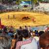 love-at-jinju-bulllring