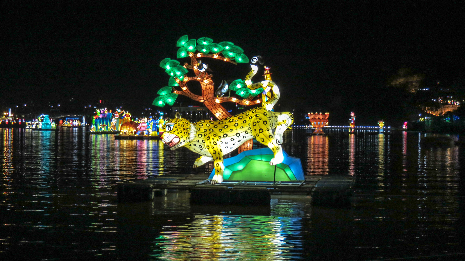 cheetah-display-jinju-lantern-festival