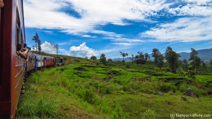 cornering-train-kandy-nuwara-eliya-train