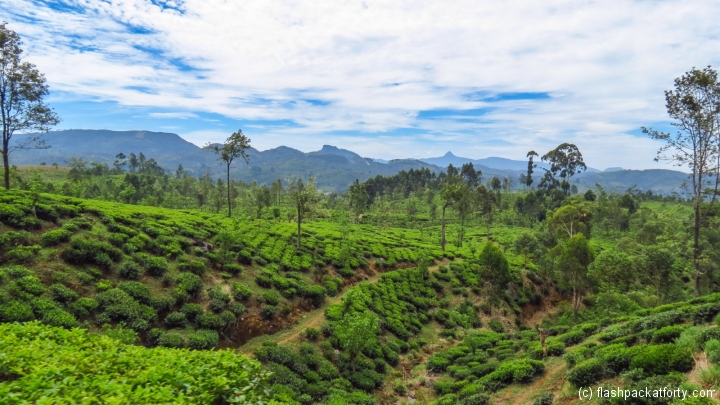 kandy-ella-train-view