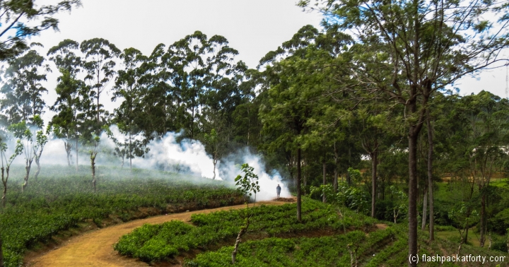 misty-morning-kandy-ella-train