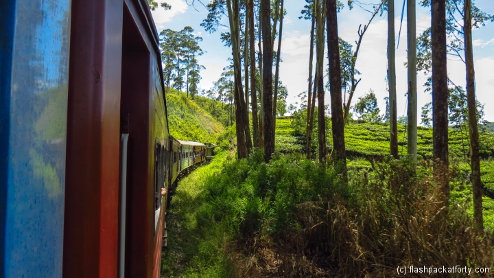 train-corner-through-forest-kandy-ella-train