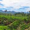 kandy-ella-train-view