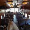 observation-car-sri-lankan-train