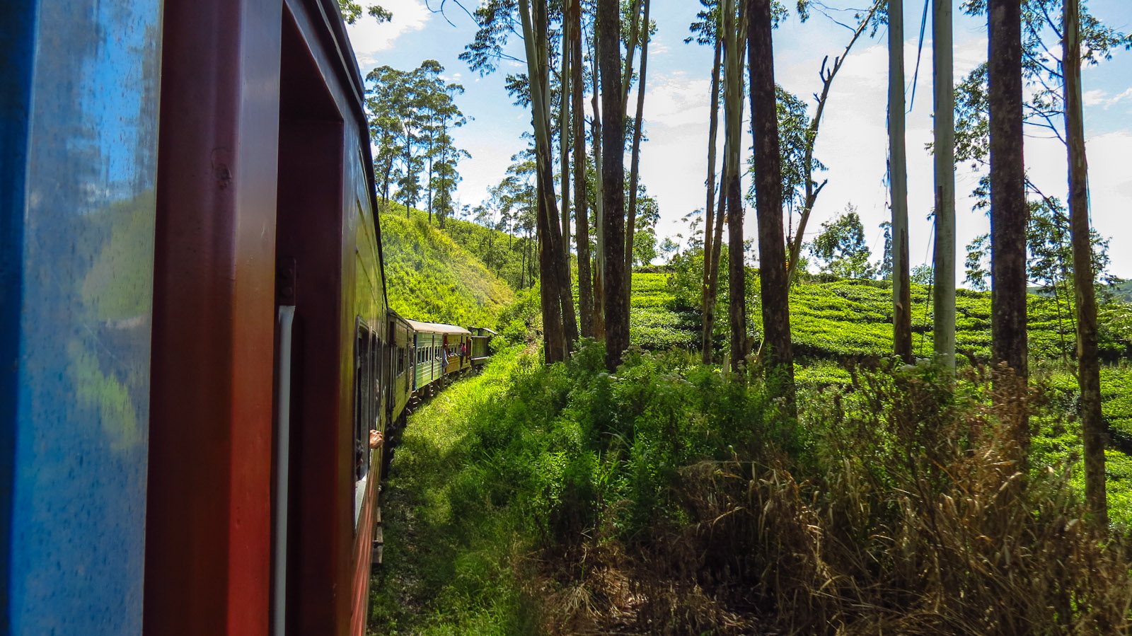 train-corner-through-forest-kandy-ella-train