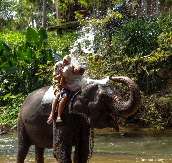elephant-shower-kandy