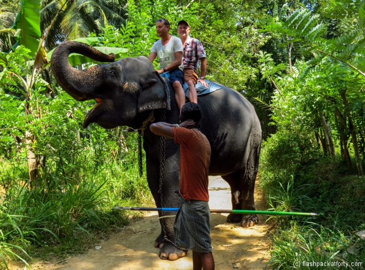 elephant-trunk-kandy-rides