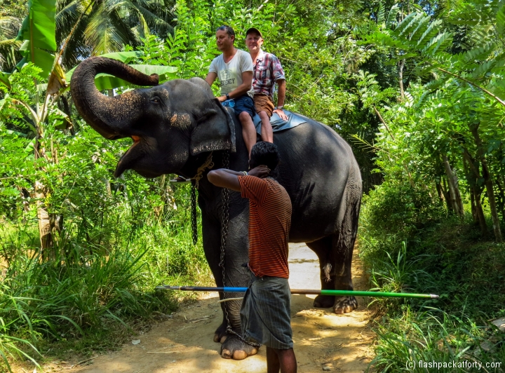 elephant-trunk-kandy-rides