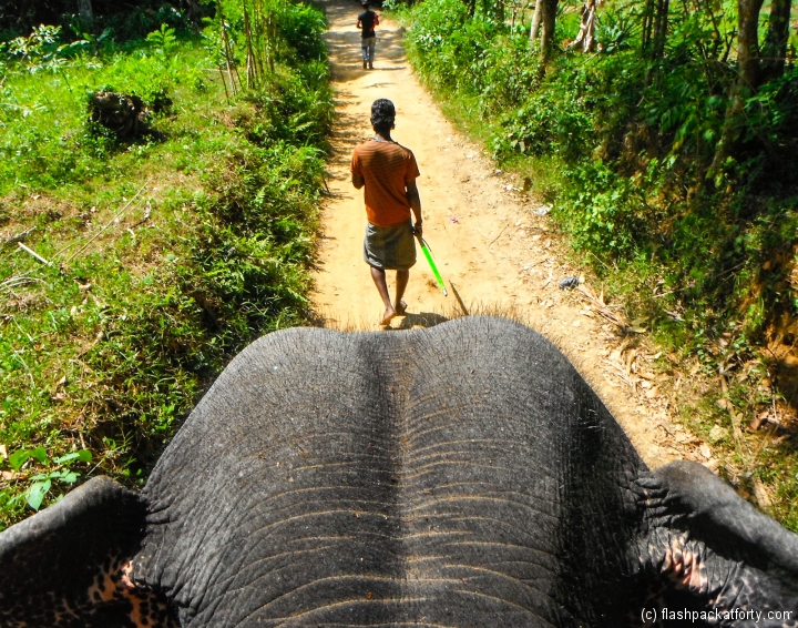 view-from-elephant-and-mahout-kandy