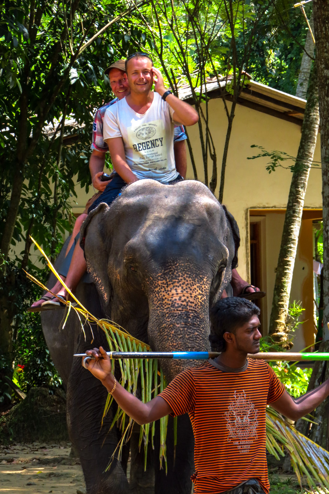 elephant-riding-kandy