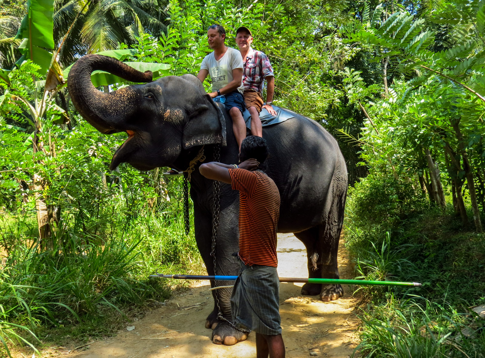 elephant-trunk-kandy-rides