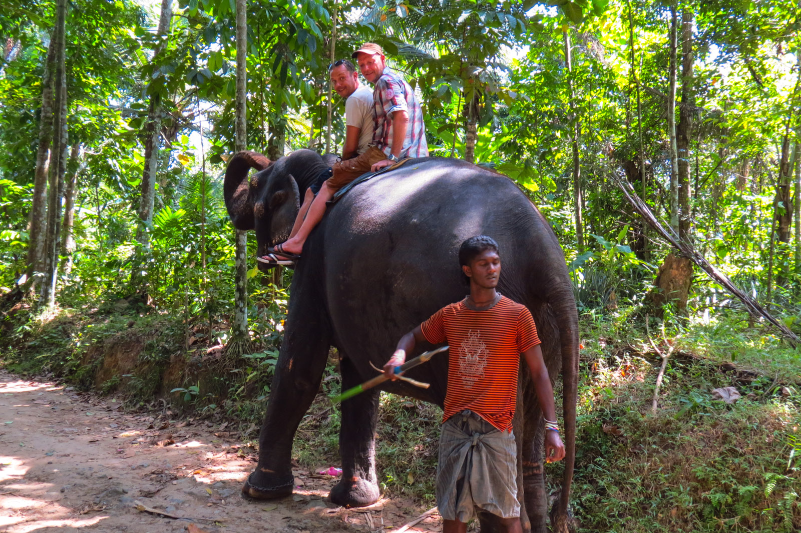 mahout-and-flashpackers-kandy-elephants