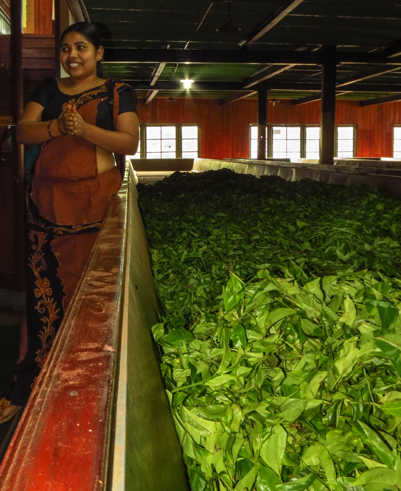 tea-factory-worker-explains-tea-productions-kandy