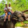 flashpackers-aloft-elephant-kandy
