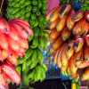 red-bananas-kandy