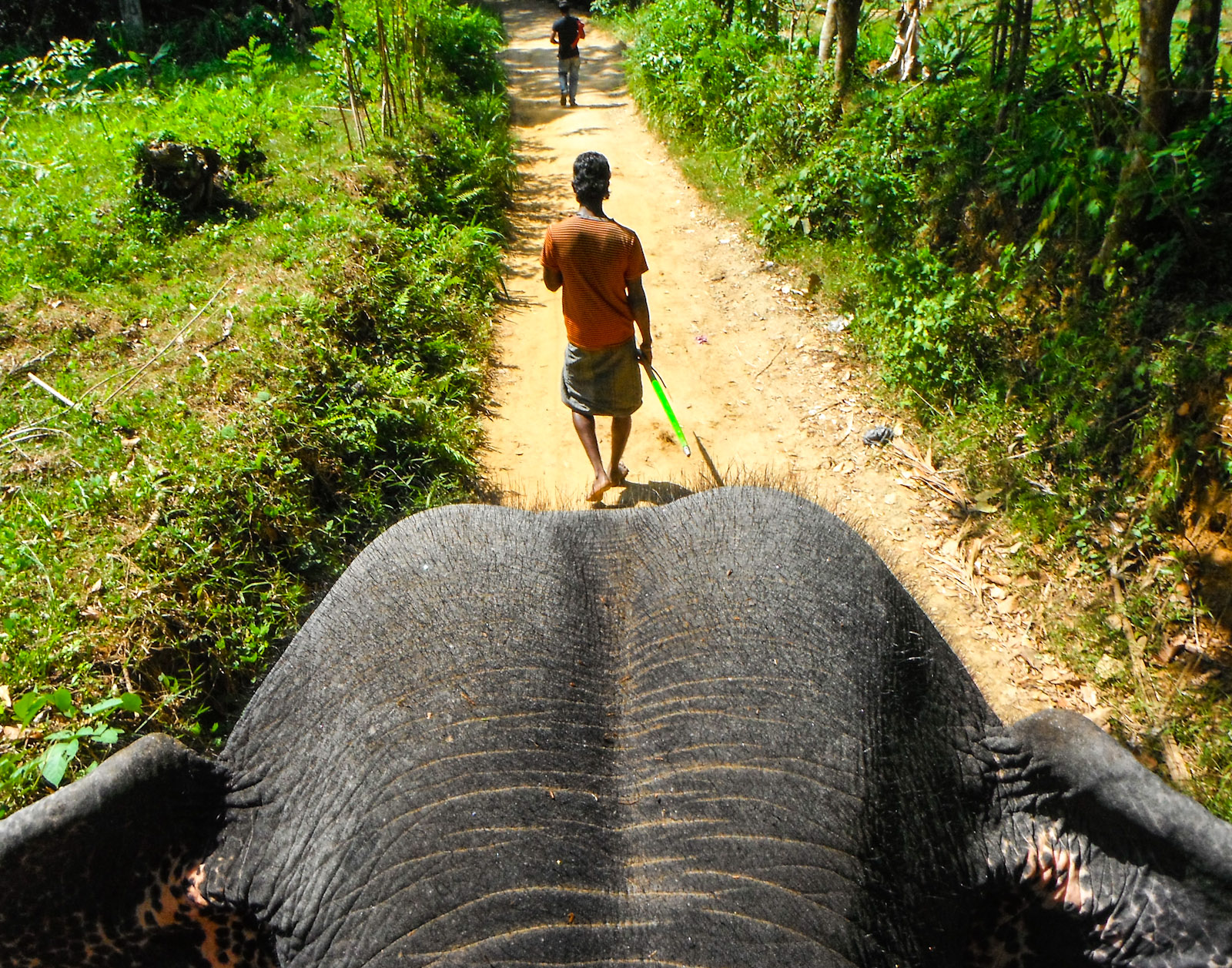 view-from-elephant-and-mahout-kandy