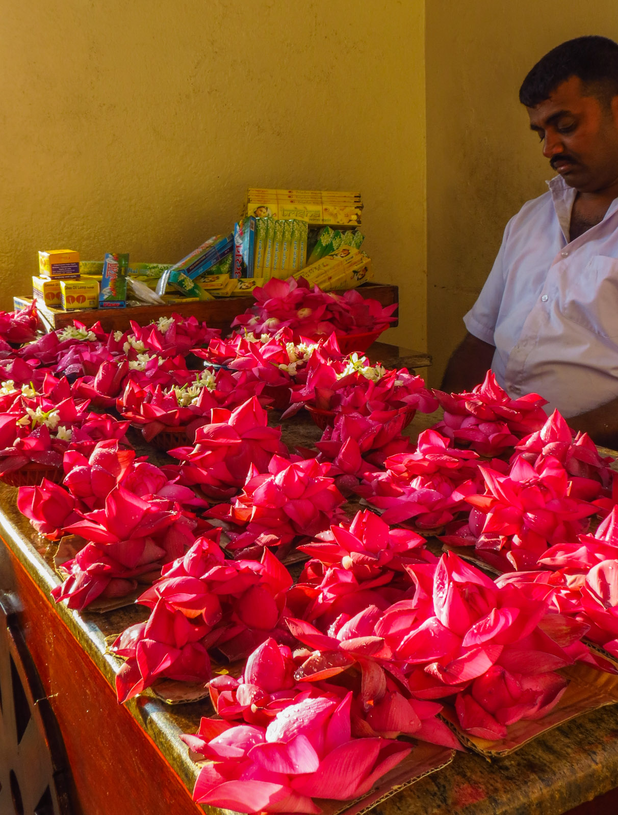 lotus-flower-sales-kandy