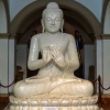 buddha-museum-statue-kandy