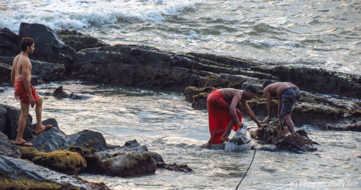 mussel-and-crab-hunting-kerala