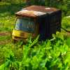 abandoned-tuk-auto-rickshaw-kannur