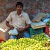 indian-goosberry-for-sale-kannur-india