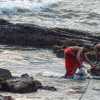 mussel-and-crab-hunting-kerala