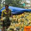 pineapple-truck-kannur-market