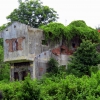 kep-nature-and-empty-buildings