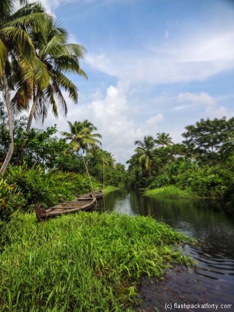 narrow-waterway-kerala-backwaters