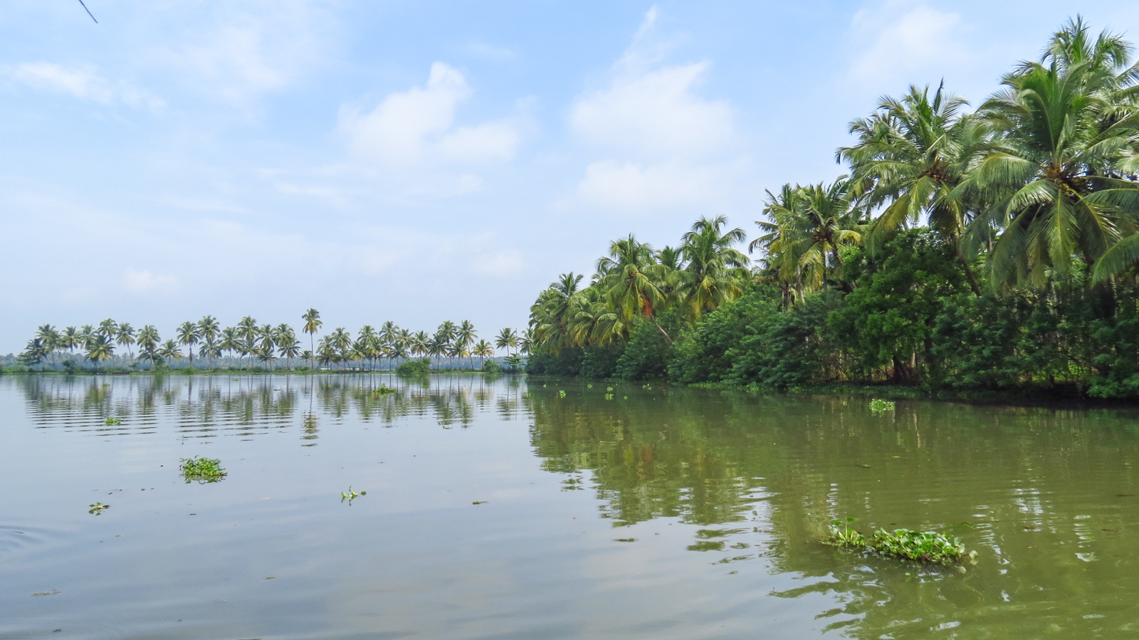 kerala-backwaters-lake
